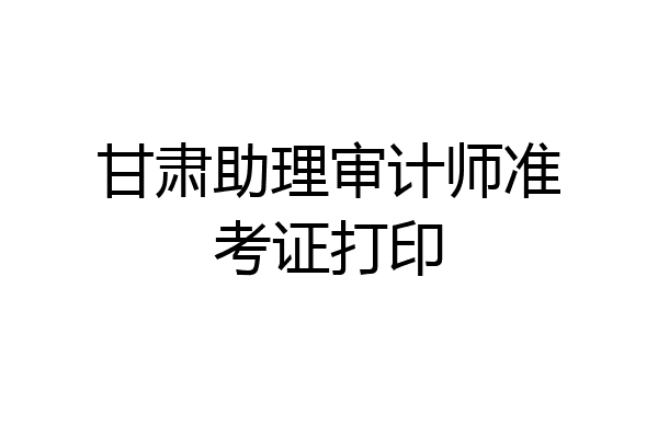 甘肃助理审计师准考证打印