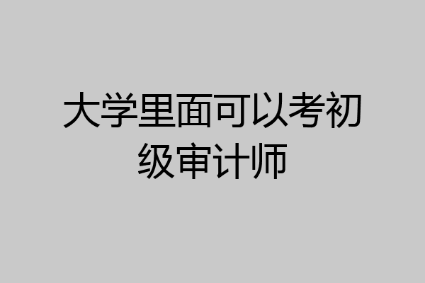 大学里面可以考初级审计师
