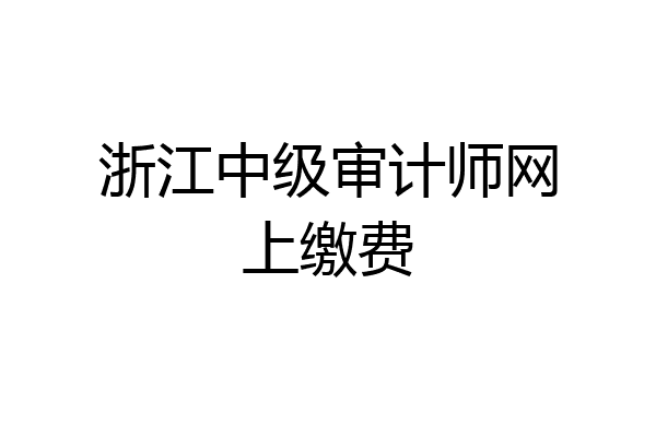 浙江中级审计师网上缴费