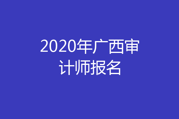 2020年广西审计师报名
