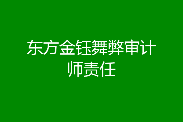 东方金钰舞弊审计师责任
