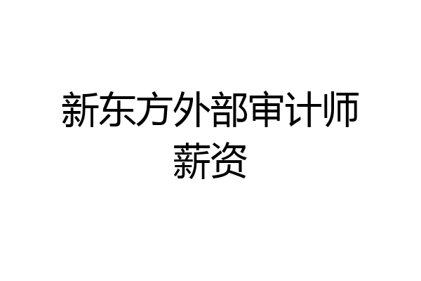 新东方外部审计师薪资