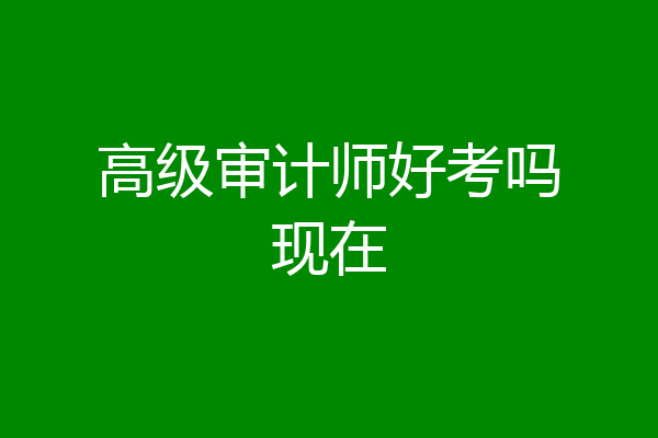 高级审计师好考吗现在