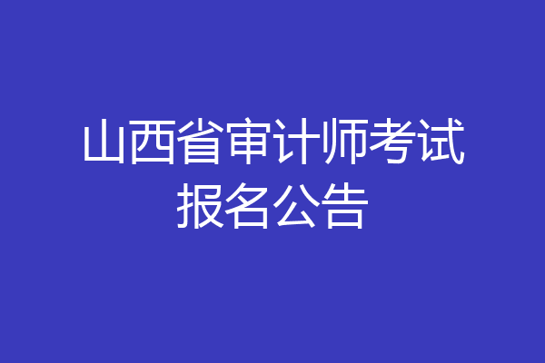 山西省审计师考试报名公告