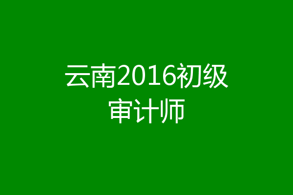 云南2016初级审计师