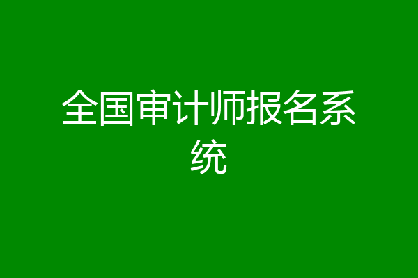 全国审计师报名系统