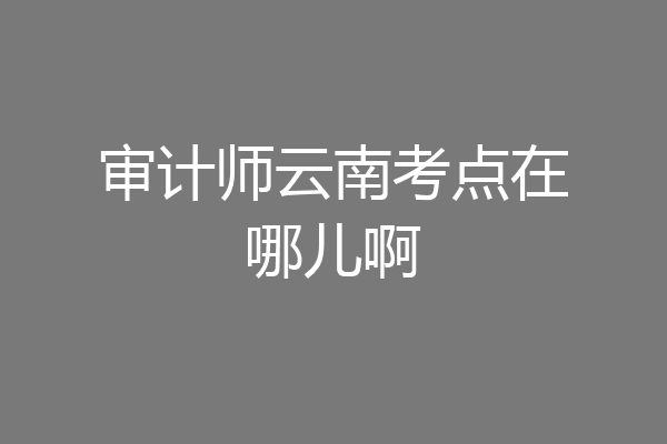 审计师云南考点在哪儿啊