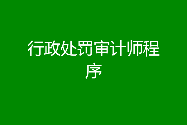 行政处罚审计师程序