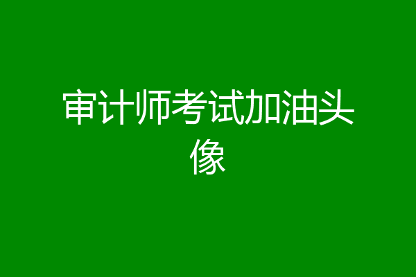 审计师考试加油头像