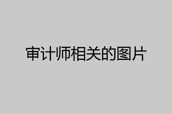 审计师相关的图片
