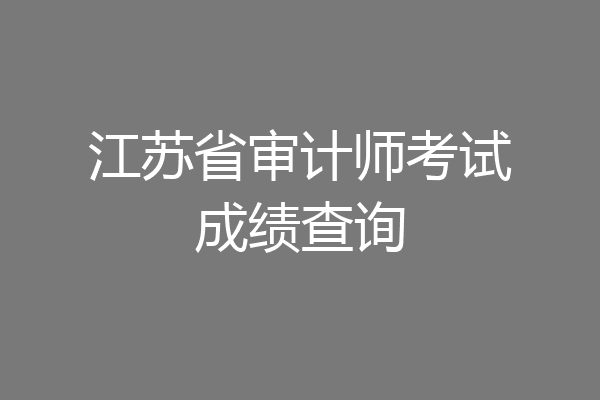 江苏省审计师考试成绩查询