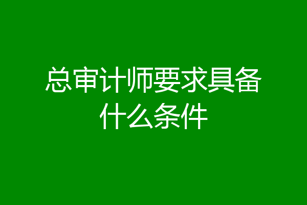 总审计师要求具备什么条件