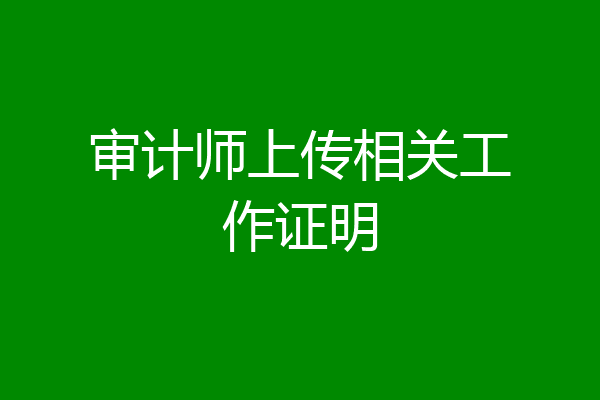 审计师上传相关工作证明