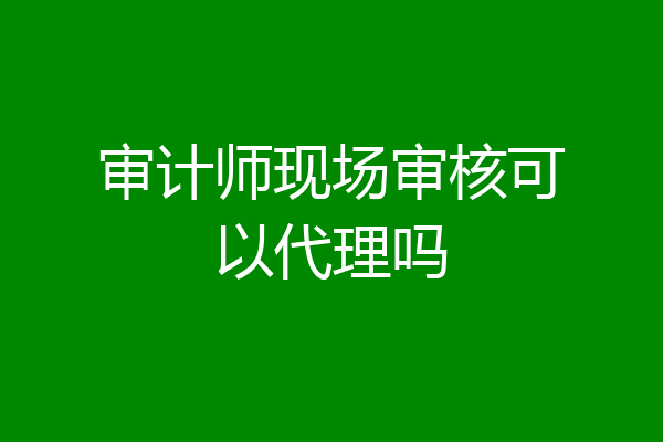 审计师现场审核可以代理吗