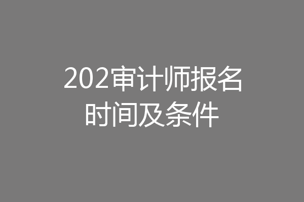202审计师报名时间及条件