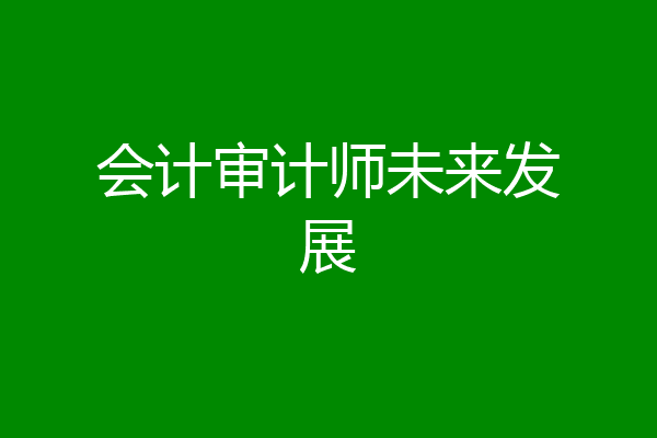 会计审计师未来发展