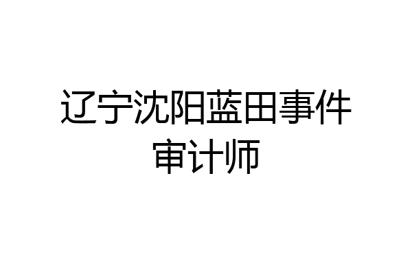 辽宁沈阳蓝田事件审计师