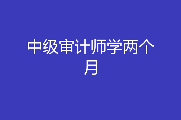 中级审计师学两个月