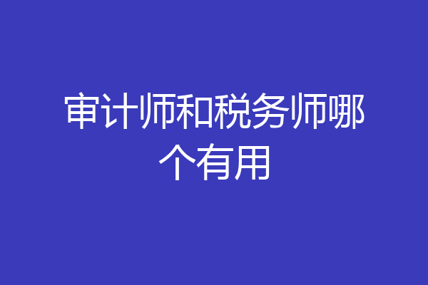 审计师和税务师哪个有用