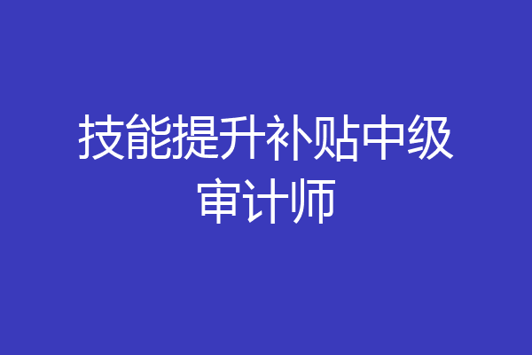 技能提升补贴中级审计师