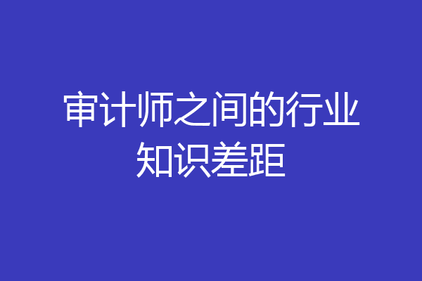 审计师之间的行业知识差距