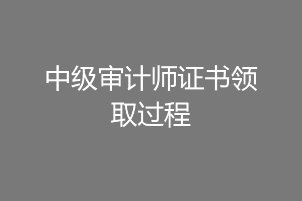 中级审计师证书领取过程