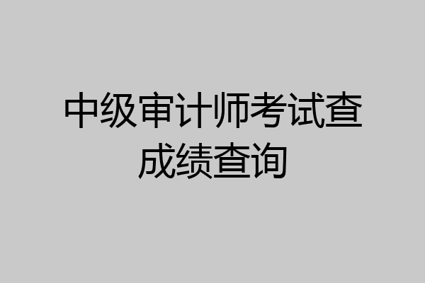 中级审计师考试查成绩查询