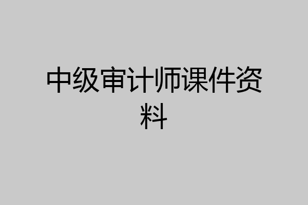 中级审计师课件资料