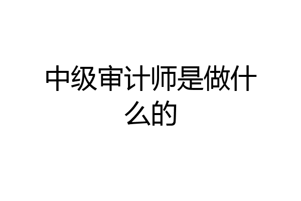 中级审计师是做什么的