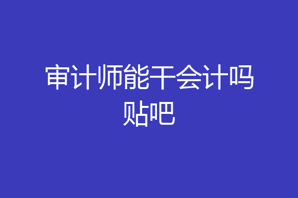 审计师能干会计吗贴吧