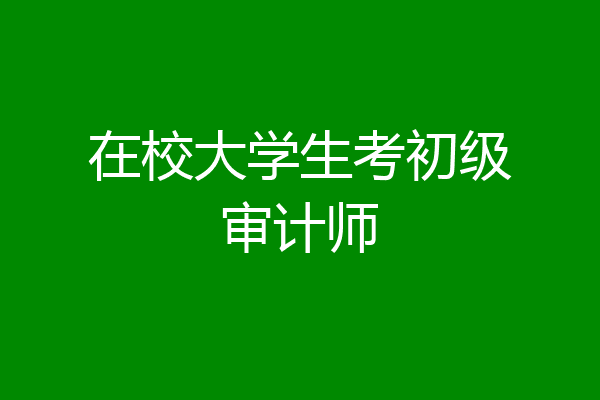 在校大学生考初级审计师
