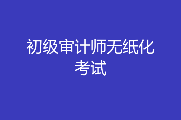 初级审计师无纸化考试