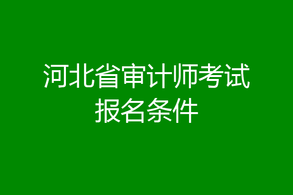 河北省审计师考试报名条件