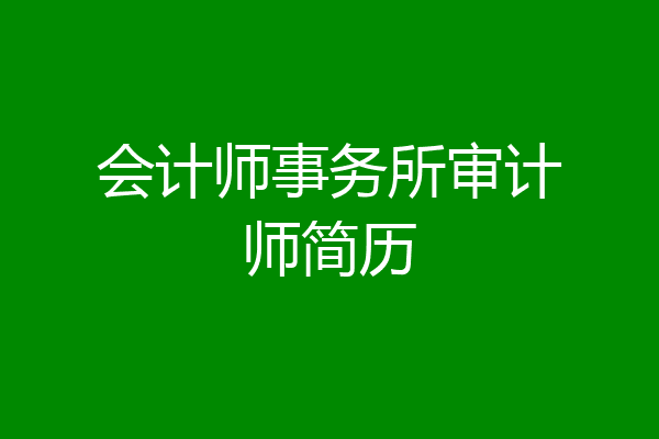 会计师事务所审计师简历