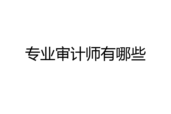 专业审计师有哪些