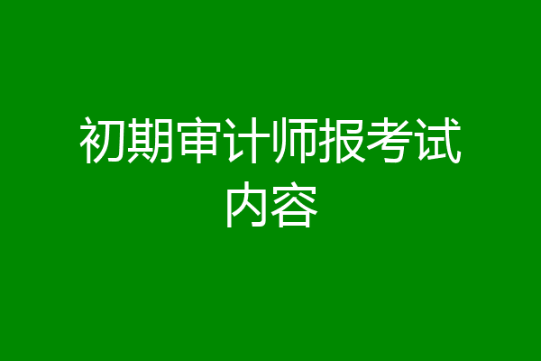 初期审计师报考试内容
