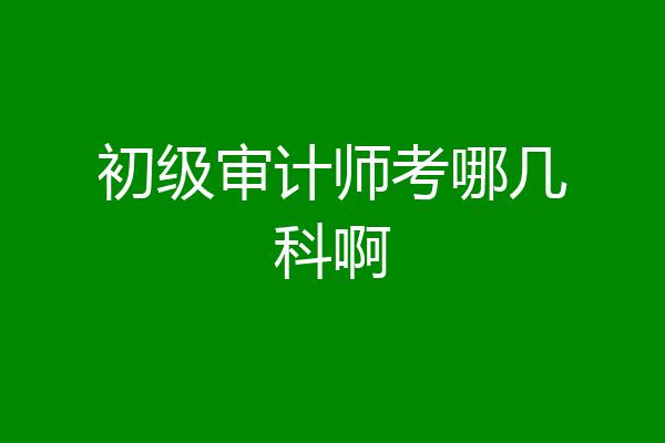 初级审计师考哪几科啊