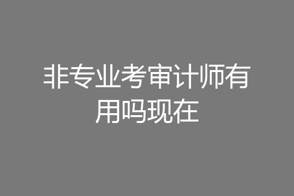 非专业考审计师有用吗现在