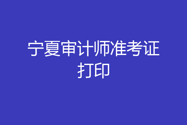 宁夏审计师准考证打印
