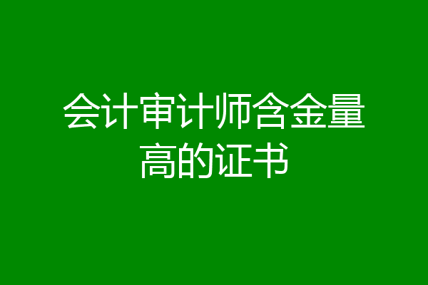 会计审计师含金量高的证书