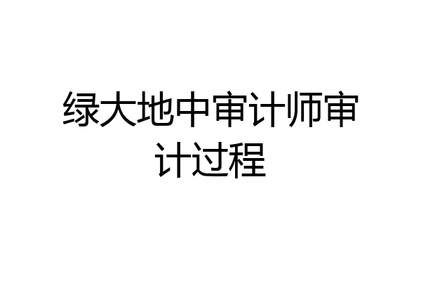 绿大地中审计师审计过程