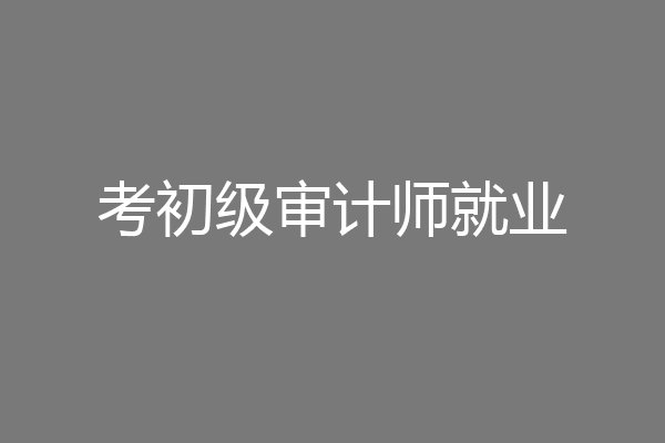 考初级审计师就业