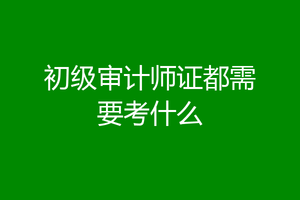 初级审计师证都需要考什么