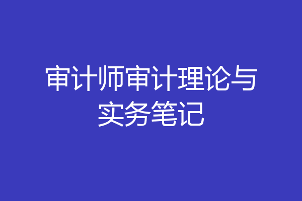 审计师审计理论与实务笔记