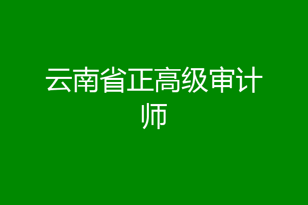 云南省正高级审计师
