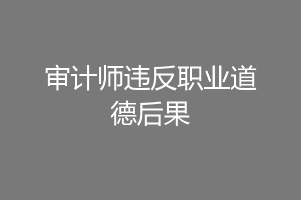 审计师违反职业道德后果