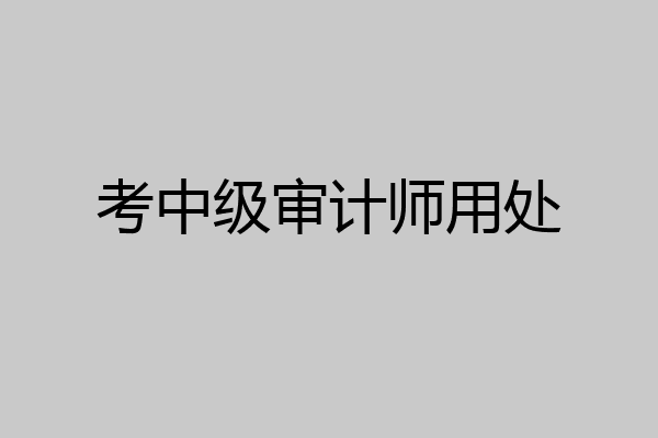考中级审计师用处