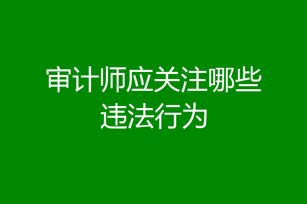 审计师应关注哪些违法行为