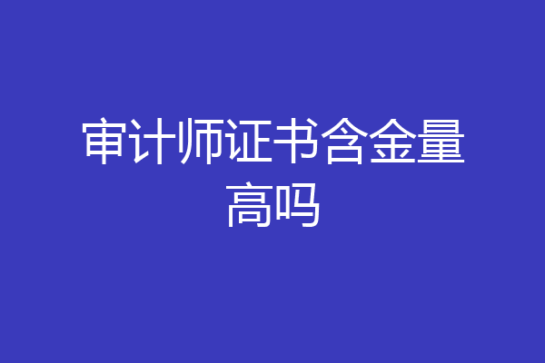 审计师证书含金量高吗