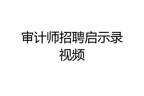 审计师招聘启示录视频